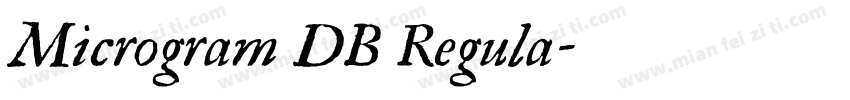 Microgram DB Regula字体转换